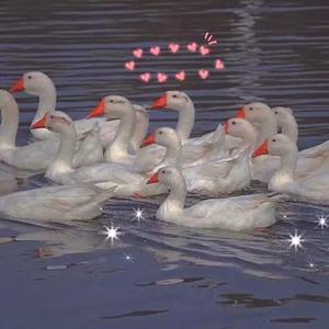 体内射精一汇编3未删减版下载
