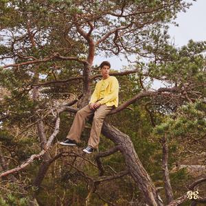 体内射精一汇编3未删减版下载
